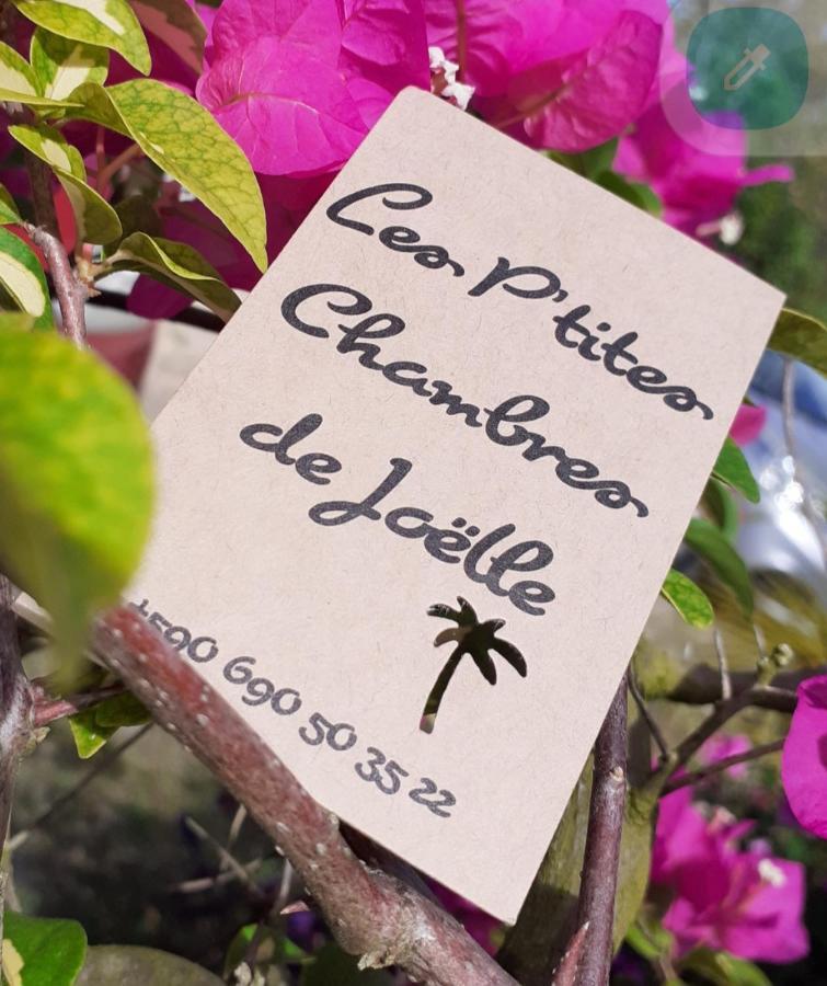 P'Tites Chambres Dans La Campagne De Marie Galante Grand-Bourg  外观 照片